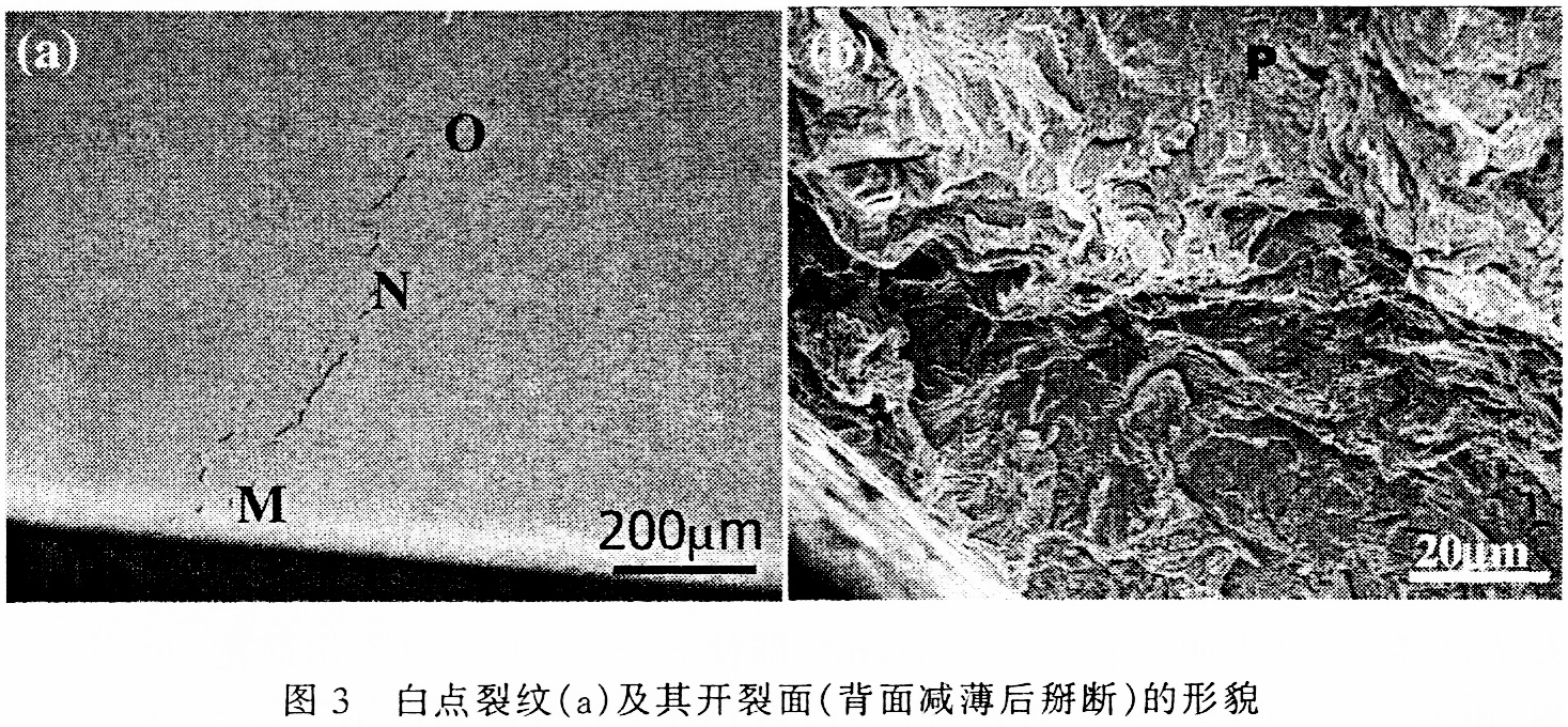 它是准解理断口 ,但无法从断裂源中把原来存在的白点和氢致滞后开裂